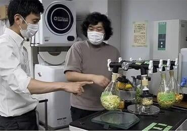 Japanese scientists turn food waste into biodegradable "cement"